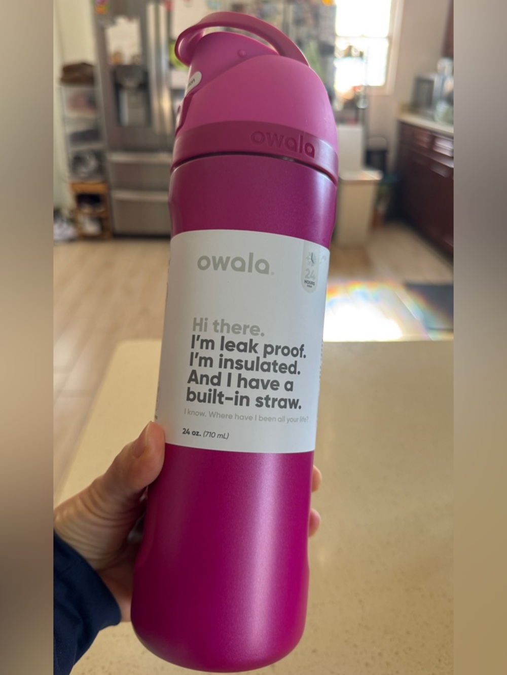 Insulated Leak-Proof Water Bottle with Built-In Straw - Pink